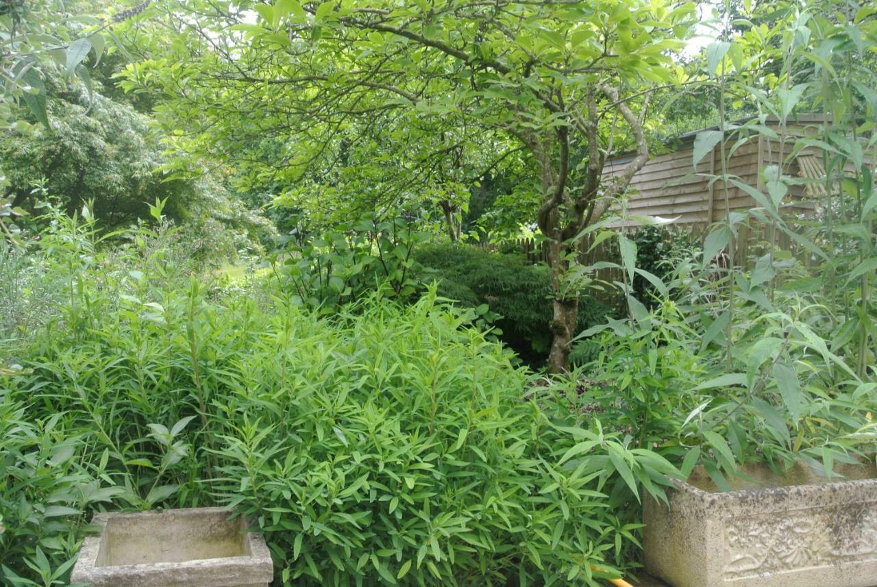 Higher Brockwell Annexe Wootton Courtenay Buitenkant foto